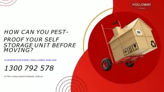 How Can You Pest-Proof Your Self Storage Unit Before Moving?