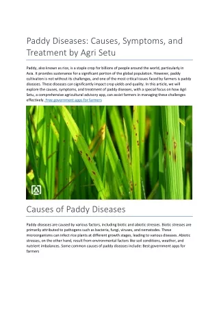 Paddy Diseases Causes, Symptoms, and Treatment by Agri Setu