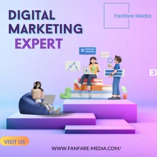 Digital Marketing Expert - Fanfare Media