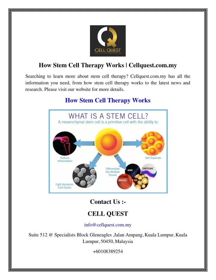 how stem cell therapy works cellquest com my