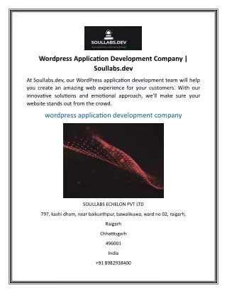 Wordpress Application Development Company Soullabs.dev