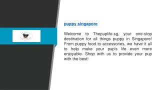 Puppy Singapore | Thepuplife.sg