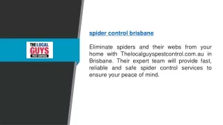 Spider Control Brisbane | Thelocalguyspestcontrol.com.au