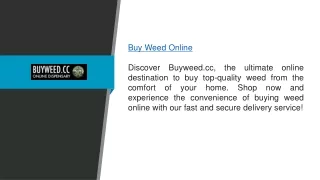 Buy Weed Online Buyweed.cc