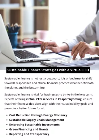 Sustainable Finance Strategies with a Virtual CFO