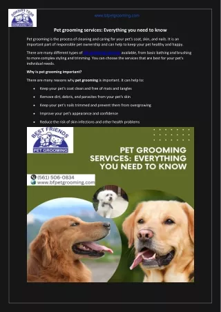 Pet grooming services: Everything you need to know