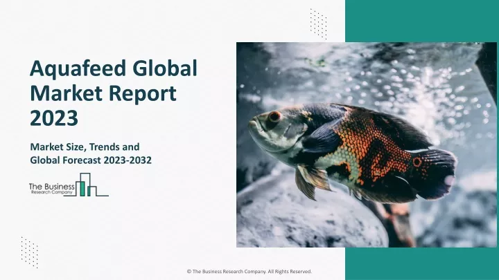 aquafeed global market report 2023