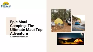 Epic Maui Camping The Ultimate Maui Trip Adventure