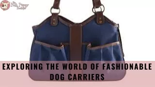 Exploring the World of Fashionable Dog Carriers
