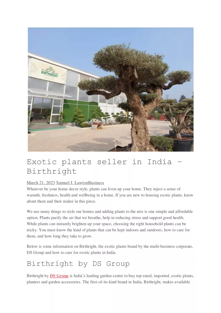 exotic plants seller in india birthright