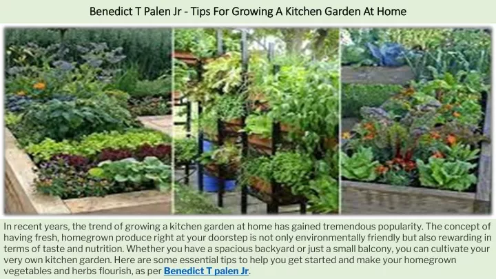 benedict t palen jr tips for growing a kitchen garden at home