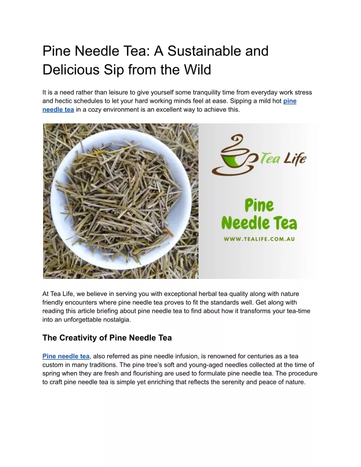 pine needle tea a sustainable and delicious