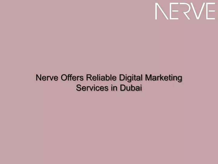 nerve offers reliable digital marketing services