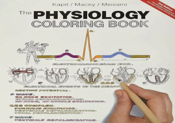 PPT [EPUB] DOWNLOAD Physiology Coloring Book, The PowerPoint