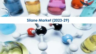 Silane Market Size, Growth and Research Report 2029.