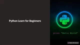 A Beginner's Guide to Programming