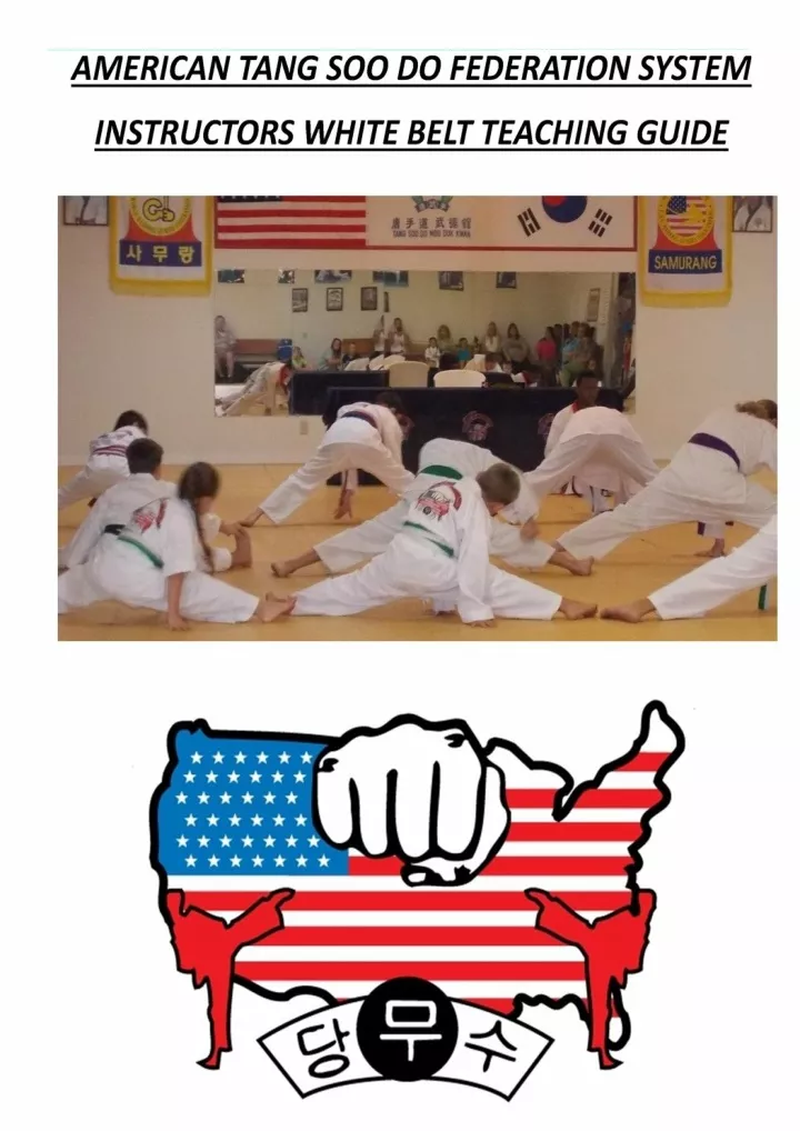 american tang soo do federation system