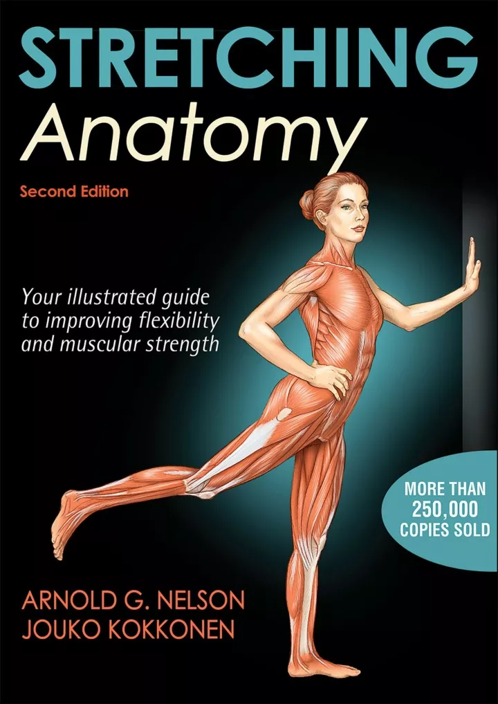 stretching anatomy download pdf read stretching