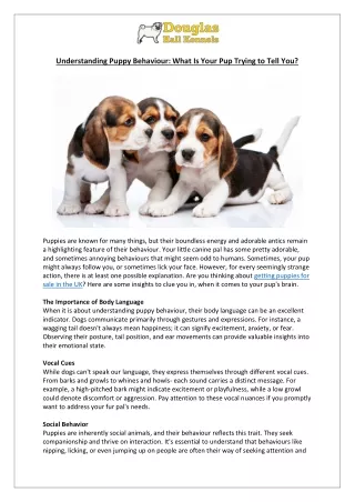 understanding puppy behaviour what is your