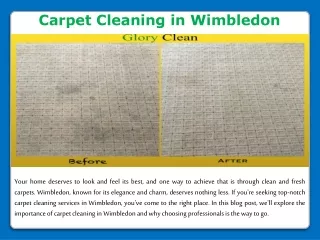 Professional Carpet Cleaning in Wimbledon