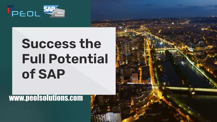 success the full potential of sap