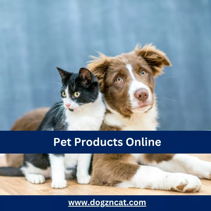 pet products online