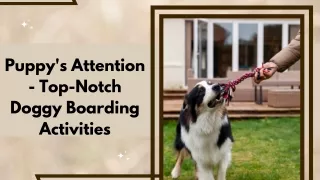 Fun and Enjoyable Canine Boarding