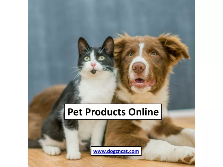 pet products online