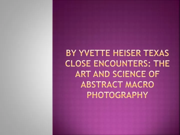 by yvette heiser texas close encounters the art and science of abstract macro photography