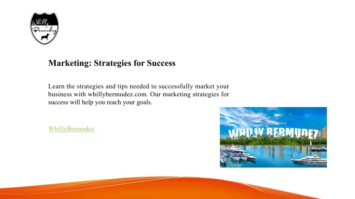 marketing strategies for success