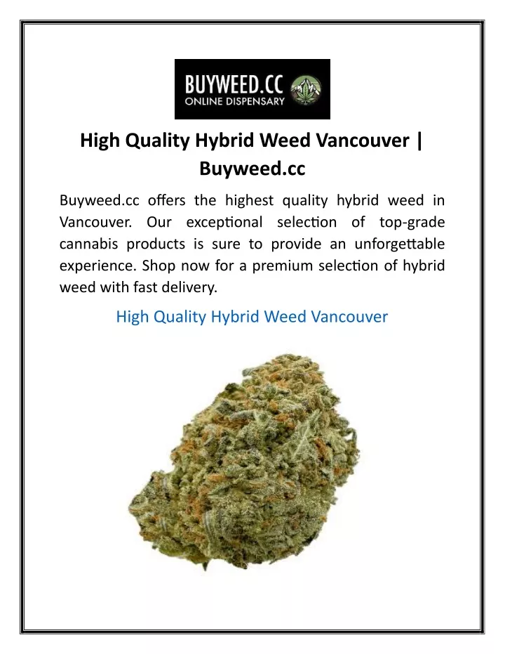 high quality hybrid weed vancouver buyweed cc