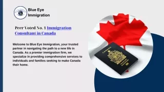 Blue Eye Immigration