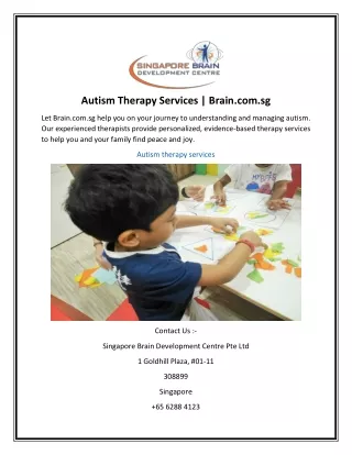 Autism Therapy Services  Brain.com.sg