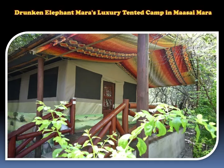 drunken elephant mara s luxury tented camp