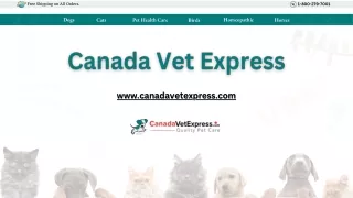 Nexgard Chewable | Canada Vet Express | Affordable Pet Supply