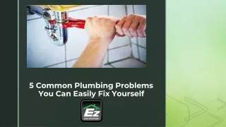 5 Common Plumbing Problems You Can Easily Fix