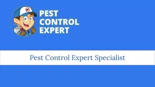 Pest Control Expert Specialist - Pest Control Expert