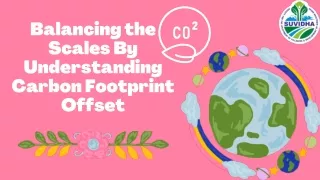 Taking Responsibility: Your Role in Carbon Footprint Offset