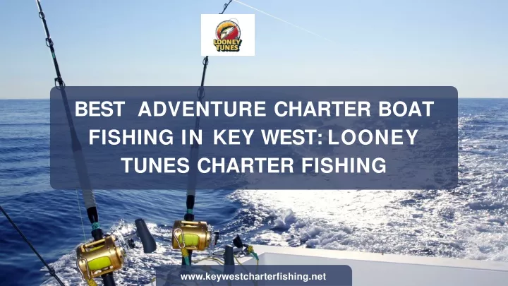 best adventure charter boat fishing in key west looney tunes charter fishing