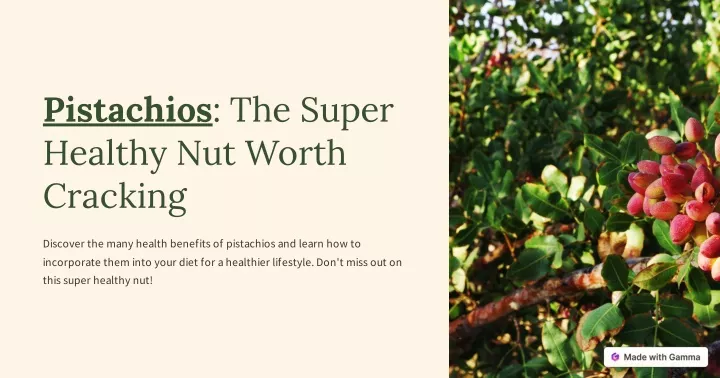 pistachios the super healthy nut worth cracking