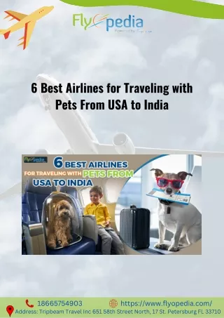 6 Best Airlines for Traveling with Pets From USA to India