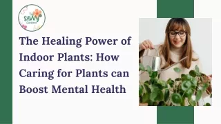 The Healing Power of Indoor Plants- How Caring for Plants can Boost Mental Health