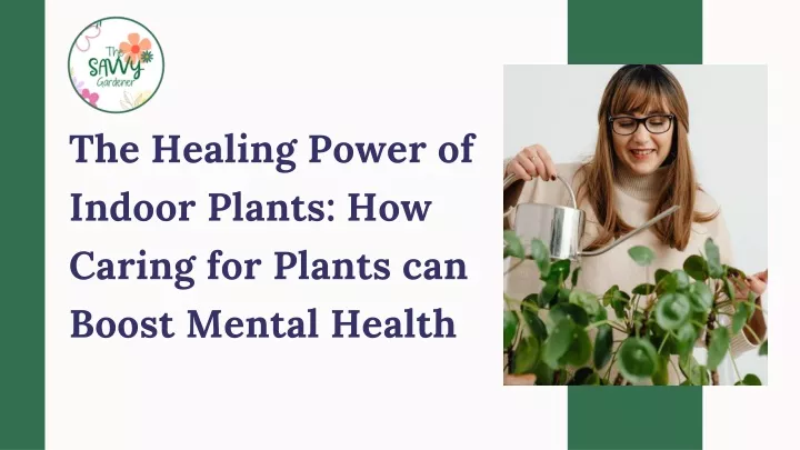 the healing power of indoor plants how caring