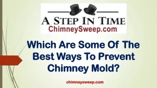Which Are Some Of The Best Ways To Prevent Chimney Mold