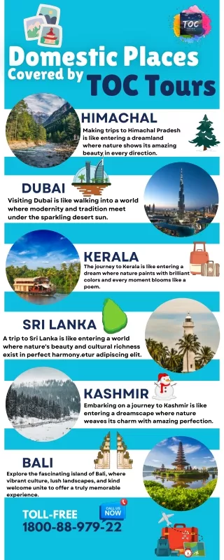 TOC Tours Infographic