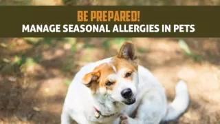 The Ultimate Guide to Seasonal Allergies in Your Furry Friends