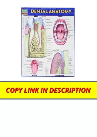 Download Dental Anatomy Quick Study Academic for android