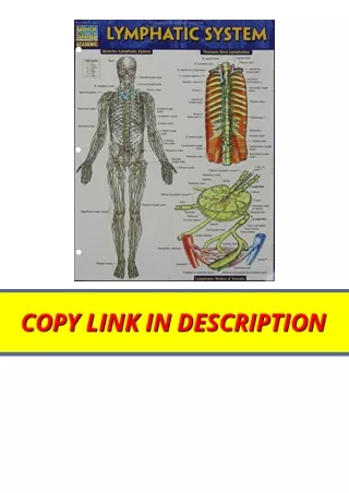 Download PDF Lymphatic System Quick Study Academic for android