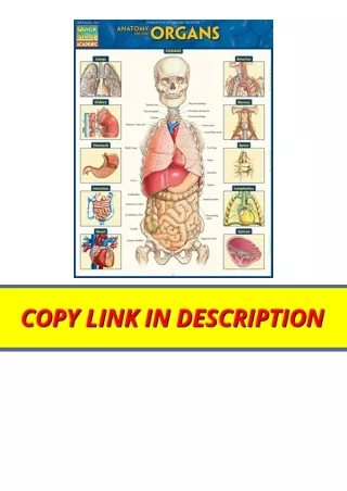 Kindle online PDF Anatomy of the Organs Quick Study Academic for android