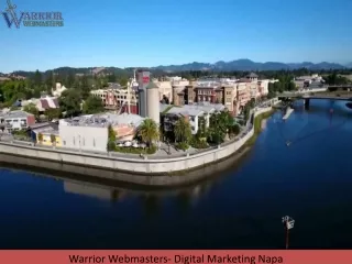 Warrior Webmasters- Digital Marketing Napa
